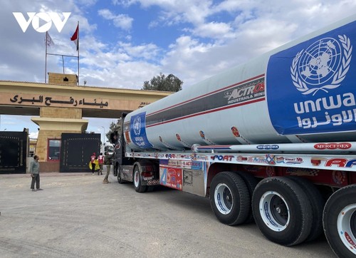 Gaza: l’Égypte poursuit ses livraisons d’aide humanitaire - ảnh 1