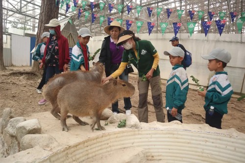 Zoodoo, un safari convivial au cœur de Da Lat - ảnh 2