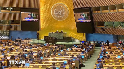 Le Vietnam à l’avant-garde de la lutte mondiale contre la cybercriminalité    - ảnh 1