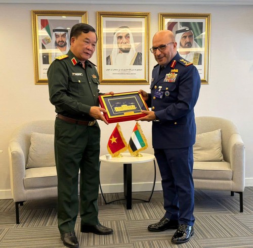 Le Vietnam et les Émirats arabes unis privilégient une coopération de défense substantielle - ảnh 2
