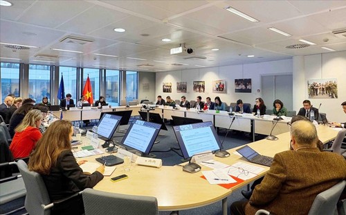 Le Vietnam et l’UE approfondissent leur coopération économique - ảnh 1