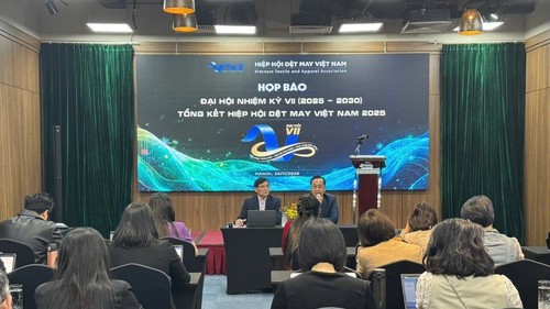 En 2025, les exportations textiles du Vietnam devraient atteindre 46 milliards de dollars - ảnh 1