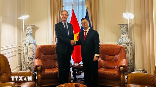 Un tournant décisif pour la coopération économique franco-vietnamienne  - ảnh 1