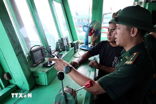 Lutter contre la pêche INN: La Commission européenne effectuera une mission d’inspection au Vietnam du 9 au 19 mars - ảnh 1