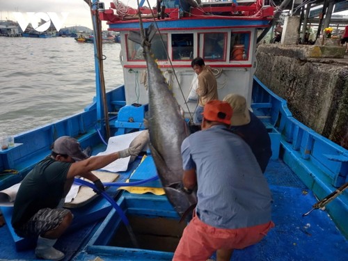 Khanh Hoa: le Têt au large, la joie au retour - ảnh 2
