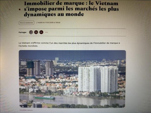 Le Vietnam, quatrième marché mondial de l’immobilier de luxe - ảnh 1