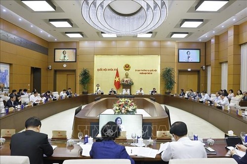 55e session du Comité permanent de l’Assemblée nationale: rehausser le rôle des représentations à l’étranger - ảnh 1