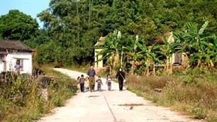 ท่าน Truong Tan Sang ประธานแห่งรัฐเวียดนามลงพื้นที่จังหวัดQuang Nam - ảnh 1