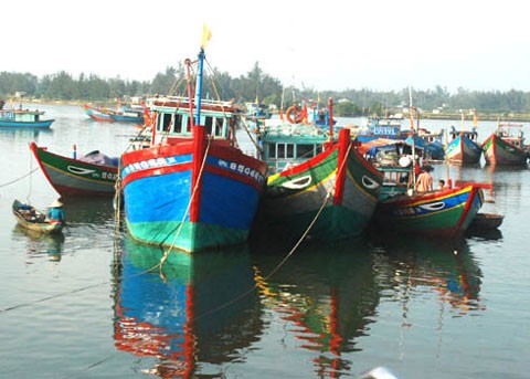 เวียดนามคัดค้านการที่จีนได้จับกุมตัวชาวประมง Quang Ngai 11 คน - ảnh 1