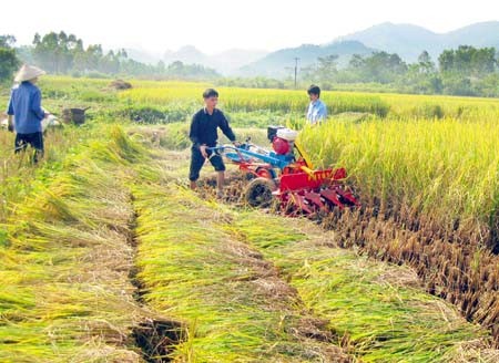 บทบาทของสมาคมเกษตรกรในการพัฒนาชนบทใหม่ - ảnh 1