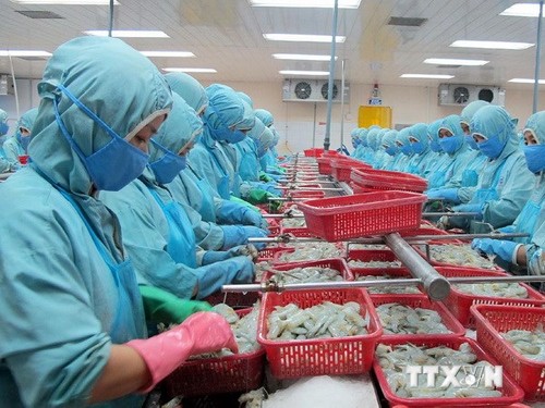 WTO ประกาศคำตัดสินเกี่ยวกับคดีกุ้งระหว่างเวียดนามกับสหรัฐ - ảnh 1