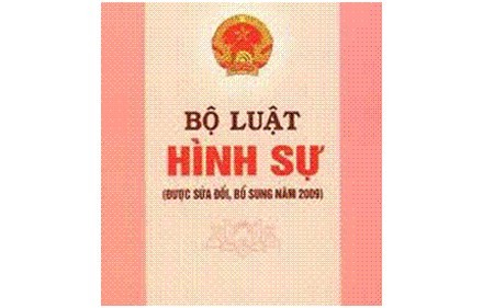 รวบรวมความคิดเห็นของประชาชนต่อร่างประมวลกฎหมายอาญาฉบับแก้ไข - ảnh 1