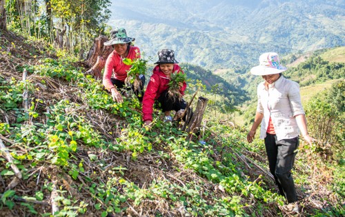 สตรีในจังหวัดกอนตุมกับกระบวนการสตาร์ทอัพ - ảnh 1