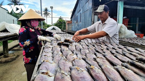 โครงการ OCOP ช่วยยกระดับแบรนด์ “ปลาสลิดตากแห้งอูมิงห์” ของจังหวัดก่าเมา - ảnh 1