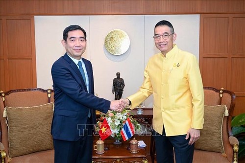 ไทยให้ความสำคัญต่อความสัมพันธ์หุ้นส่วนยุทธศาสตร์ที่เข้มแข็งกับเวียดนาม - ảnh 1