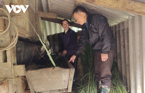 ครูชาวไตกับพรรคสาขาหมู่บ้านชาวม้งปลูกฝังความหวังในการหลุดพ้นจากความยากจน - ảnh 2