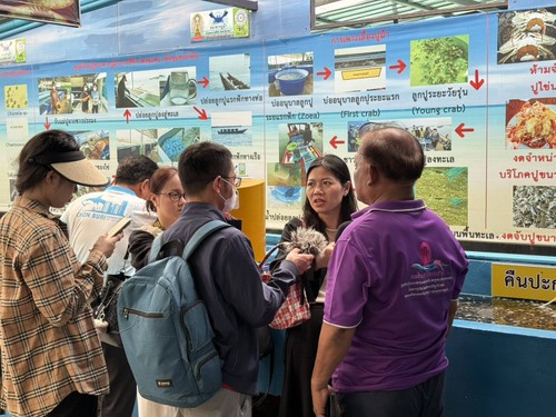 โครงการแลกเปลี่ยนสื่อมวลชนระหว่างกรมประชาสัมพันธ์กับสถานีวิทยุเวียดนาม - ảnh 1