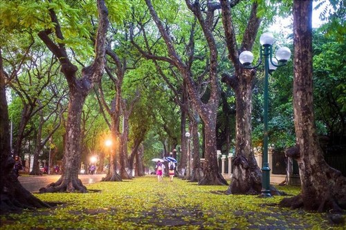 ตอบจดหมายท่านผู้ฟังวันที่ 29 มีนาคมปี 2025 - ảnh 3