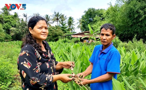 สตรีจังหวัดจ่าวิงสตาร์ทอัพจากสินค้าเกษตรในถิ่นเกิด - ảnh 3