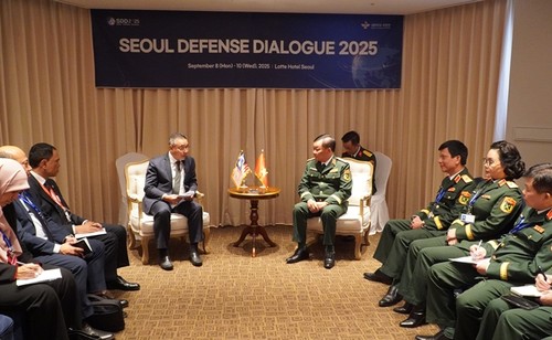 เวียดนามผลักดันความร่วมมือทวิภาคีด้านกลาโหมกับประเทศต่างๆ  - ảnh 1