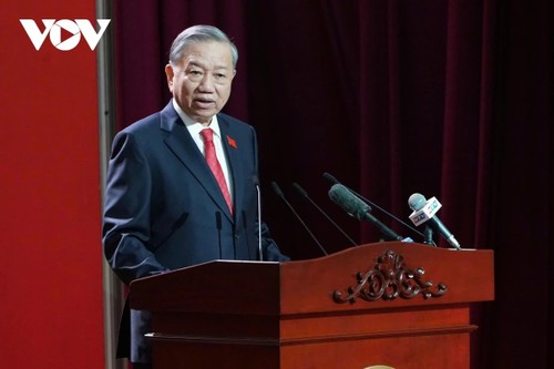 เลขาธิการใหญ่พรรค โตเลิม เข้าร่วมการประชุมใหญ่พรรคสาขานครโฮจิมินห์ - ảnh 1