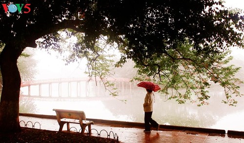 สัมผัสฤดูหนาว - ảnh 1