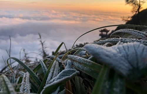 Severe cold spell hits northern, central regions - ảnh 1