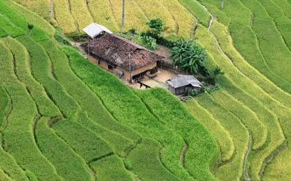 Công nhận di tích quốc gia với ruộng bậc thang Hoàng Su Phì - ảnh 12