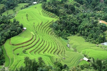 Công nhận di tích quốc gia với ruộng bậc thang Hoàng Su Phì - ảnh 2