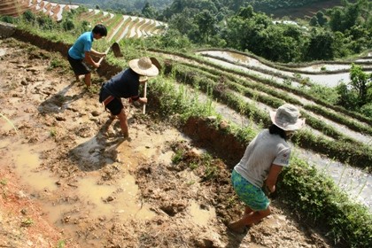 Công nhận di tích quốc gia với ruộng bậc thang Hoàng Su Phì - ảnh 6