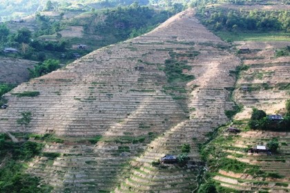 Công nhận di tích quốc gia với ruộng bậc thang Hoàng Su Phì - ảnh 4