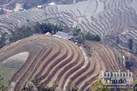 Chuyện đói - no trên thửa ruộng bậc thang được “phong hàm” di tích - ảnh 1