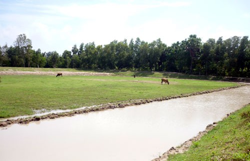 Đồng bào Khmer An Giang vui đón Lễ Dolta  - ảnh 1