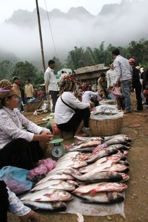 Lạ kỳ phiên chợ “người đứng, cá nằm”  - ảnh 9