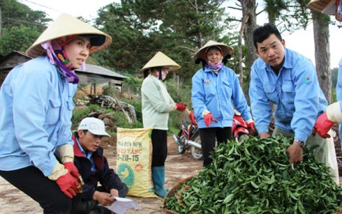 Hơn 15.000 tỷ đồng sẽ được đầu tư vào khu vực Tây Nguyên - ảnh 1