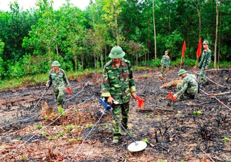 Thành lập Hội hỗ trợ khắc phục hậu quả bom mìn Đà Nẵng - ảnh 1