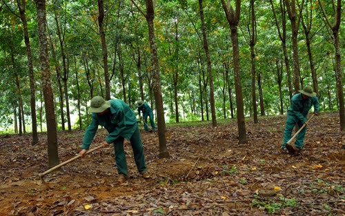  Lai Châu đột phá xây dựng nông thôn mới - ảnh 3