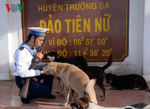 Như một lời ước hẹn ngày trở lại: “Trường Sa - nơi ta đến” ​ - ảnh 6