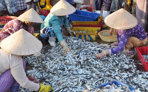  Quốc hội nghe Tờ trình và báo cáo thẩm tra dự án Luật thủy sản (sửa đổi) - ảnh 1