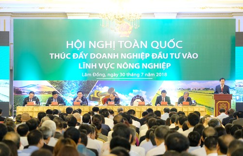 Thúc đẩy doanh nghiệp đầu tư vào lĩnh vực nông nghiệp - ảnh 1