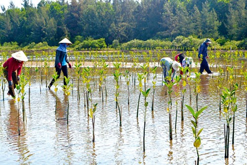 Vận dụng linh hoạt kinh nghiệm quốc tế để ứng phó với biến đổi khí hậu tại Việt Nam - ảnh 1