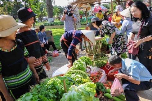 Gia Lai: Lễ hội mùa xuân đoàn kết các dân tộc - ảnh 3