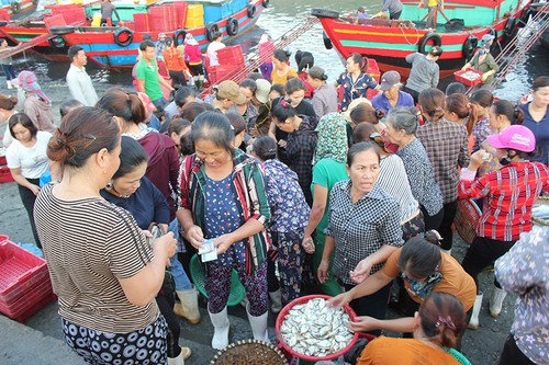  Nhộn nhịp Chợ Bến cá Cửa Lò - ảnh 9