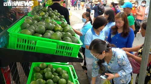  Khai mạc Tuần lễ trái cây “Trên bến dưới thuyền” tại Thành phố Hồ Chí Minh - ảnh 1