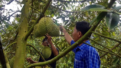 Quyết liệt hoàn thành các mục tiêu kinh tế-xã hội cả năm 2024 - ảnh 2