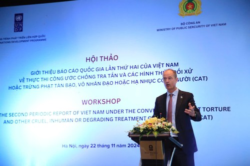 Việt Nam nỗ lực thực thi các nghĩa vụ thành viên Công ước chống tra tấn - ảnh 2