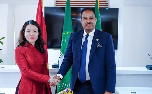 Tham vấn chính trị Việt Nam - Ethiopia - ảnh 1