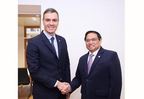 Thúc đẩy quan hệ Đối tác chiến lược Việt Nam - Tây Ban Nha - ảnh 1