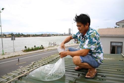Các tỉnh miền Trung lên phương án sơ tán hàng chục ngàn dân tránh bão số 5 - ảnh 1
