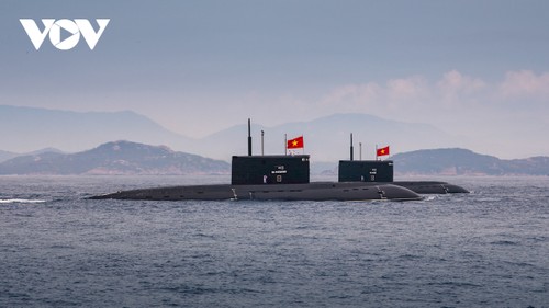 Hải quân Việt Nam phô diễn sức mạnh với Lễ diễu binh trên biển - ảnh 14